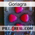 Goriagra 13